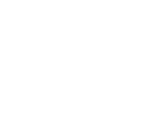 bird Illustration